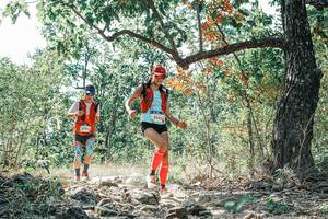 BIB: 
                            <button type="button" onclick="openModal(26089516)" class="btn btn-primary btn-sm float-right btn-popup" data-toggle="modal" data-target=".modal-high-quality">
                        <i class="fas fa-shopping-cart"></i> Add to Cart
                    </button>
                                            <button type="button" onclick="isThisMe(26089516, true)" class="btn btn-success btn-sm float-right btn-popup btn-isme hidden" data-toggle="tooltip" data-placement="bottom" title="นี่คือรูปของคุณใช่ไหม คลิกที่นี่เพื่อเอาเข้าอัลบั้ม">
                        <i class="fas fa-plus"></i> Add to album
                    </button>
                    <button type="button" onclick="isThisMe(26089516, false)" class="btn btn-warning btn-sm float-right btn-popup btn-isnotme hidden">
                        <i class="fas fa-ban"></i> Remove from album
                    </button>